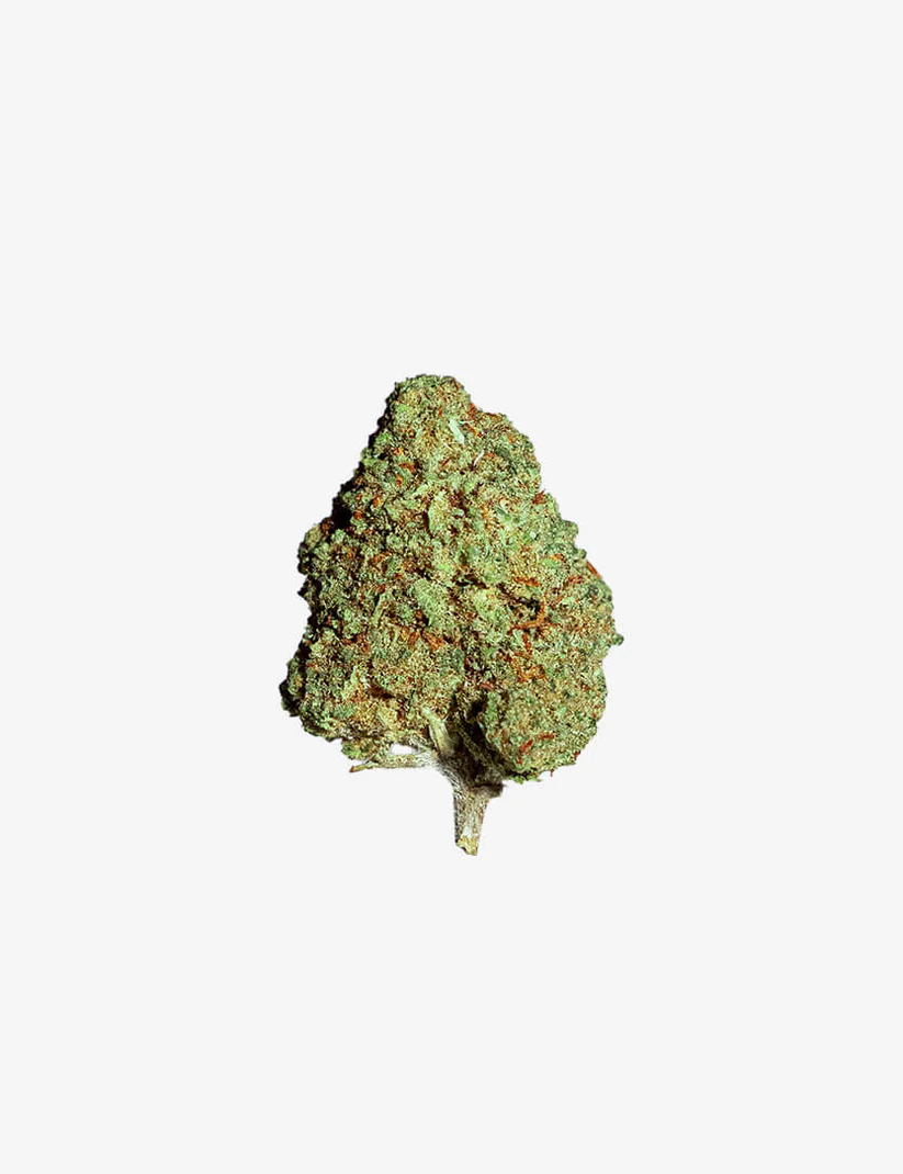 Cheesecake Small Buds
